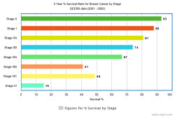 2001-survival-rate-by-stage